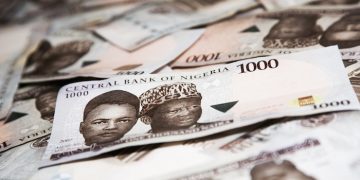 T-Bills and Government Bonds Look Most Attractive for Investors in Early 2026