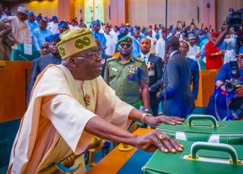 Navigating the Storm: A Month-by-Month Chronicle of Nigeria’s 2025 Economic Odyssey