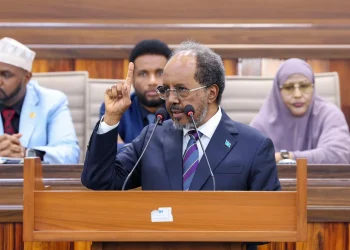 Somalia Cancels UAE Agreements, Citing Threats to Sovereignty and Economic Concerns