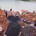 Gunmen Kill Seven Miners in Plateau State Attack