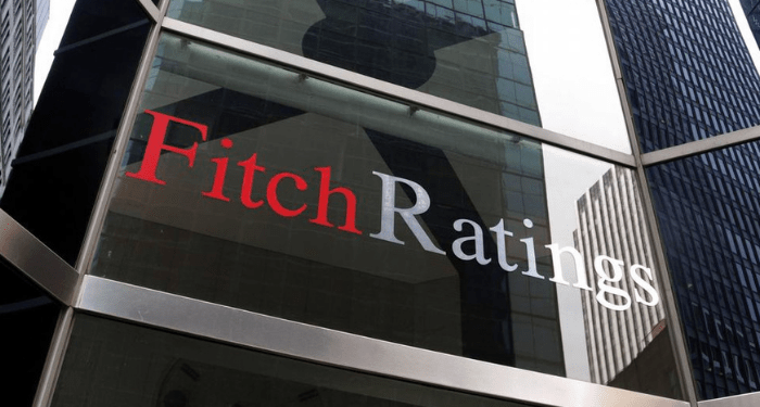 Fitch Pulls Afreximbank Ratings, Downgrades Credit