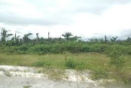 Land Dispute in Akwa Ibom Threatens Lagos-Calabar Coastal Highway Project