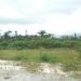 Land Dispute in Akwa Ibom Threatens Lagos-Calabar Coastal Highway Project