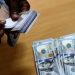 Naira Posts Modest Gains Amid FX Market Reforms