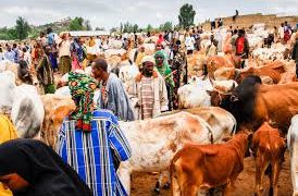 From $32bn to $74bn: FG Charts New Course for Livestock Sector