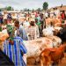 From $32bn to $74bn: FG Charts New Course for Livestock Sector