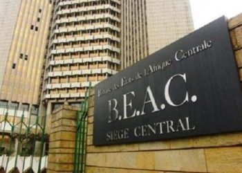 Cameroon Targets CFA1.65 Trillion in Domestic and International Markets