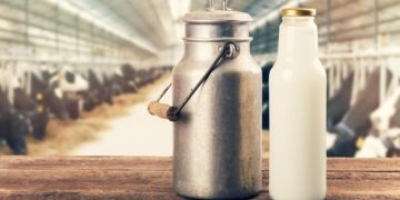Arla Foods Yogurt Launch Boosts Nigeria’s Dairy Value Chain