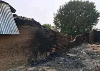 Zamfara Massacre Highlights Economic Cost of Rural Insecurity