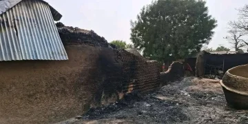 Zamfara Massacre Highlights Economic Cost of Rural Insecurity