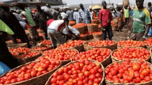 Tomato Prices Unlikely to Rise During Ramadan – Farmers