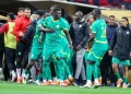 CAF Awards AFCON Final to Morocco, Senegal Forfeit Title