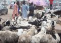 Eid Spending Slows as Fuel Costs and Price Volatility Reshape Lagos Market Activity