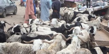 Eid Spending Slows as Fuel Costs and Price Volatility Reshape Lagos Market Activity
