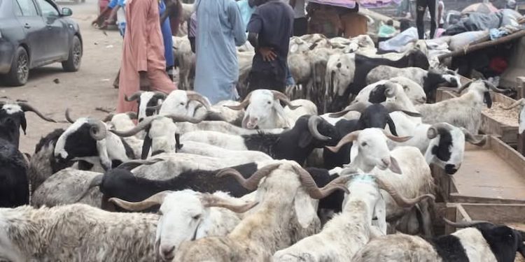 Eid Spending Slows as Fuel Costs and Price Volatility Reshape Lagos Market Activity