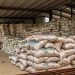 Ondo-MATNA Cassava Integration Signals Deepening Local Content in Agro-Industrial Processing