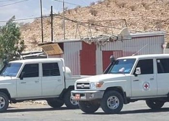 Red Cross Refutes False Claims of Support for Armed Groups in Northern Nigeria