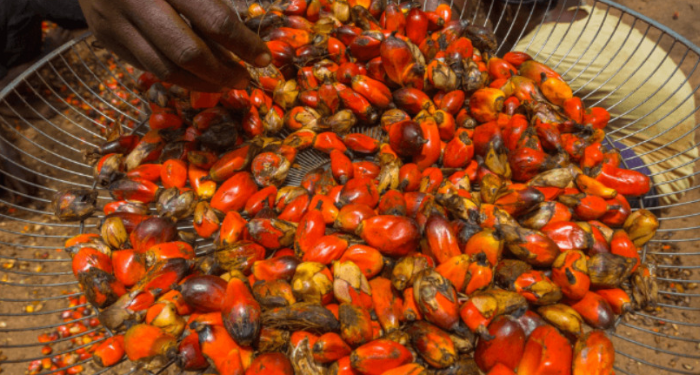 Malaysia-Nigeria Trade Hits $1.23 Billion as Palm Oil Exports Surge