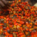 Malaysia-Nigeria Trade Hits $1.23 Billion as Palm Oil Exports Surge