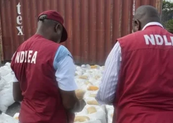Over N3tn Worth of Drugs Intercepted at Nigeria’s Ports