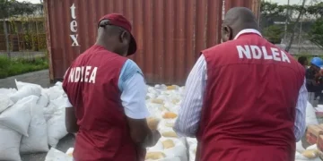 Over N3tn Worth of Drugs Intercepted at Nigeria’s Ports