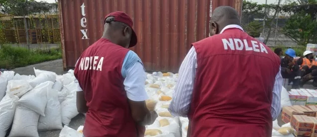 Over N3tn Worth of Drugs Intercepted at Nigeria’s Ports