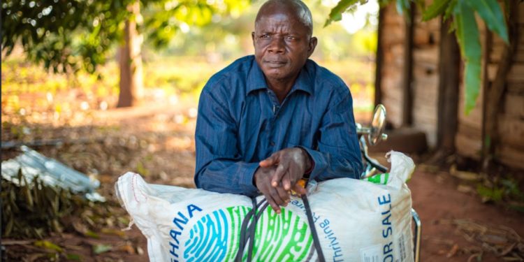 Ghana’s Free Fertiliser Policy Aims to Shield Farmers from Market Volatility
