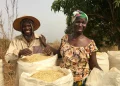 Côte d’Ivoire Moves to Strengthen Agricultural Finance and Risk Management