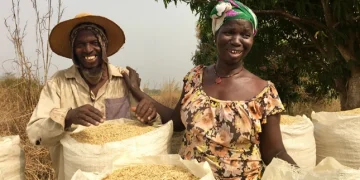 Côte d’Ivoire Moves to Strengthen Agricultural Finance and Risk Management