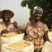 Côte d’Ivoire Moves to Strengthen Agricultural Finance and Risk Management