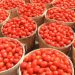 Tomato Scarcity Looms: Prices Jump 150% in Two Weeks