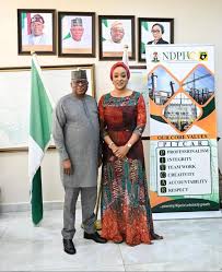 Togo Seeks More Electricity Imports From Nigeria