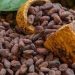 Ivory Coast Cocoa Crisis Deepens Despite Record Prices