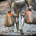 Troops Destroy 101 Illegal Refineries in Q1