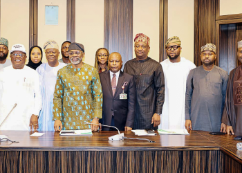 Tinubu Moves to Fix Grid Bottlenecks with New GAMCO Committee