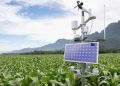 FG Targets Climate-Resilient Farming with Solar Irrigation Drive