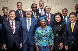 WTO Reform Talks Hit Critical Point in Cameroon