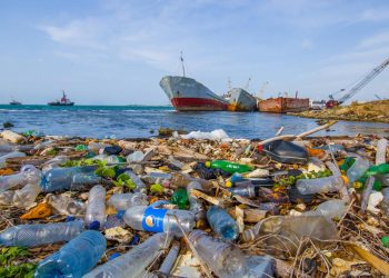 Circularity Africa Targets Marine Waste With 145 Recovery Officers, 54 New Recycling Clusters