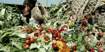 Global Food Waste Crisis Costs Economy One Trillion Dollars
