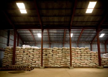 FAO Warns of Severe Global Food Supply Disruption from Gulf Conflict