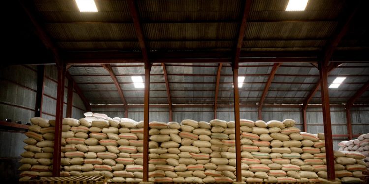 FAO Warns of Severe Global Food Supply Disruption from Gulf Conflict