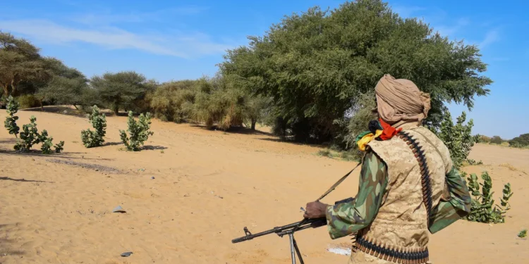 Coordinated Attacks in Mali Signal Escalating Insurgent Alliance