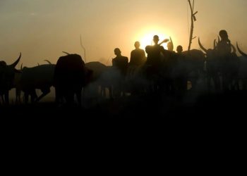 Plateau Police Ban Night Grazing, Mining After Fresh Killings