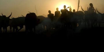 Plateau Police Ban Night Grazing, Mining After Fresh Killings