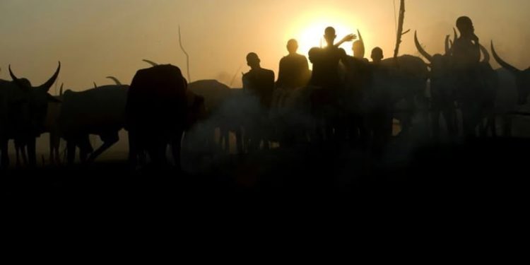 Plateau Police Ban Night Grazing, Mining After Fresh Killings