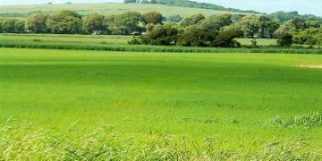 Land Reform as Nigeria’s Overlooked Economic Constraint