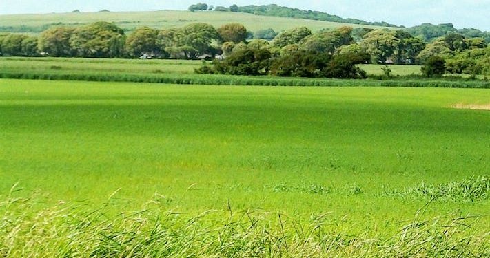 Land Reform as Nigeria’s Overlooked Economic Constraint