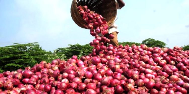Nigeria-Ghana Trade Rift Exposes Fragility of West African Food Systems