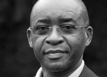 Zimbabwean Billionaire Strive Masiyiwa’s Econet InfraCo Unveils Luxury Victoria Falls Resort