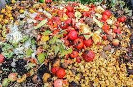 Despite Hunger, Nigeria Named Africa’s Top Food Waster